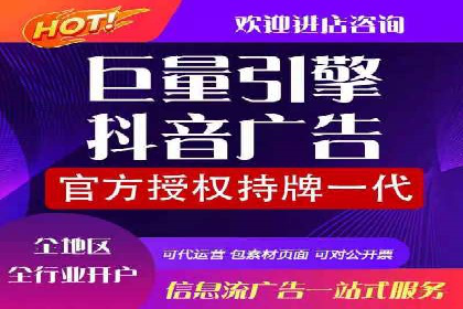 案例研究：如何通过竞价广告实现精准营销